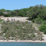 Canyon Lake Brush Pile Project