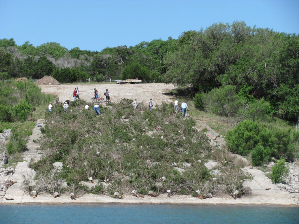 Canyon Lake Brush Pile Project
